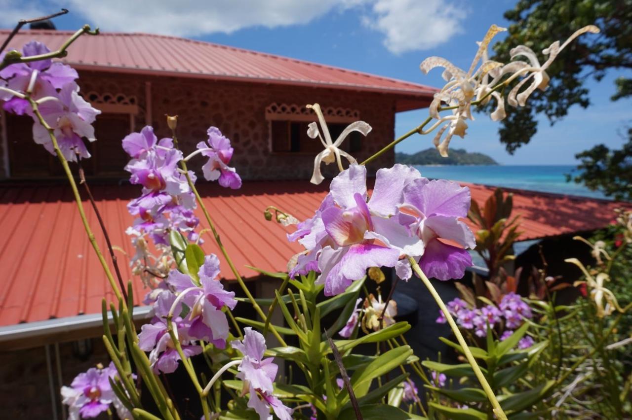 La Saline * Anse Volbert Village